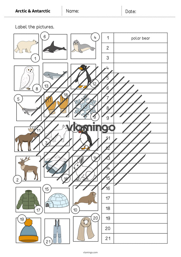 de englisch arctic antarctic vocabulary worksheet 2 006