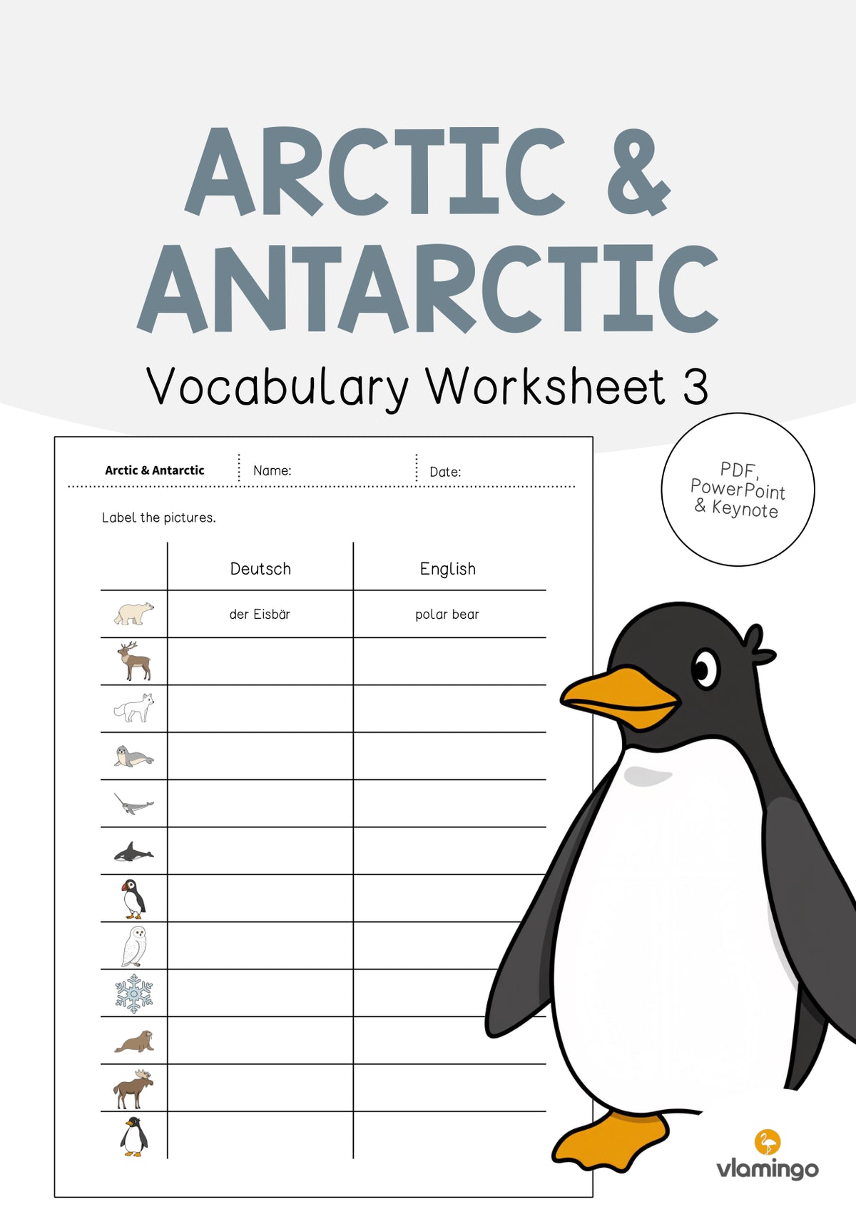 de englisch arctic antarctic vocabulary worksheet 3 001