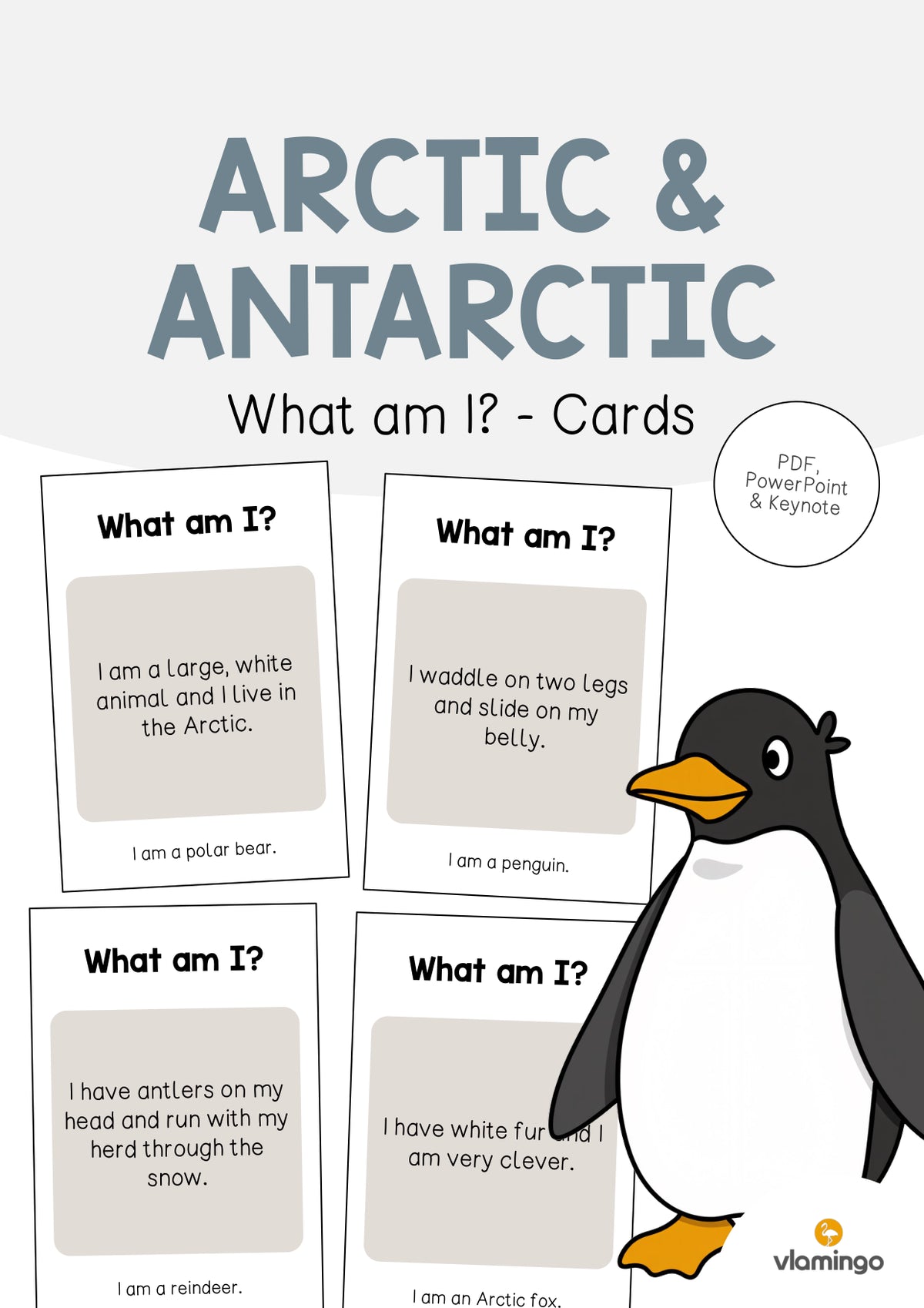 de englisch arctic antarctic what am i cards 001