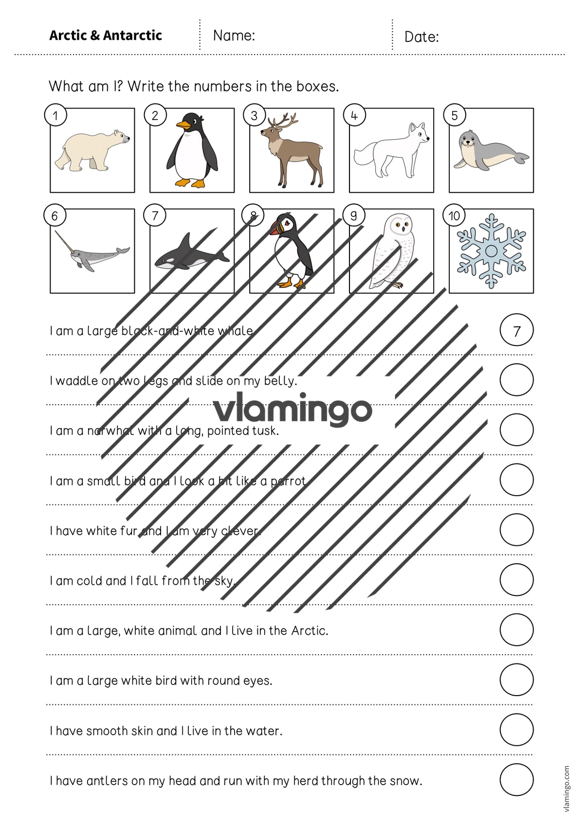 de englisch arctic antarctic what am i worksheet 003