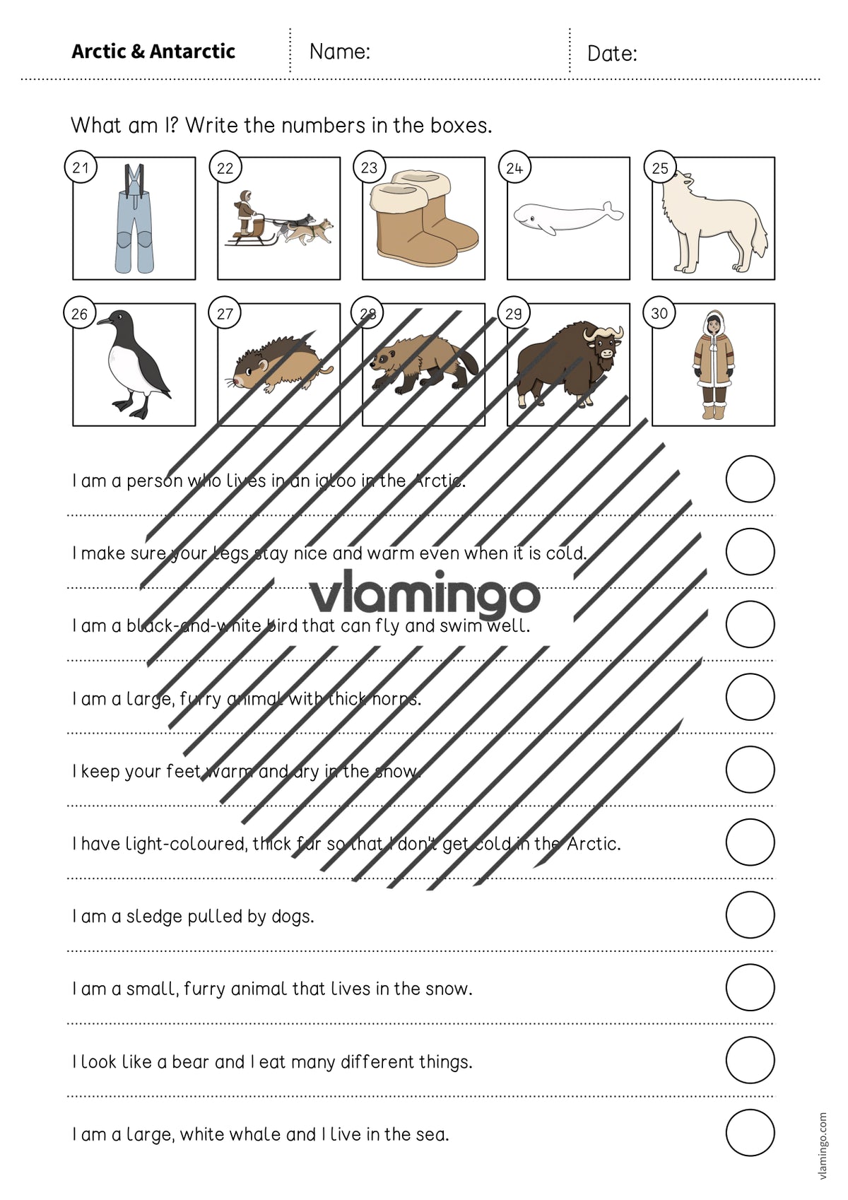 de englisch arctic antarctic what am i worksheet 005