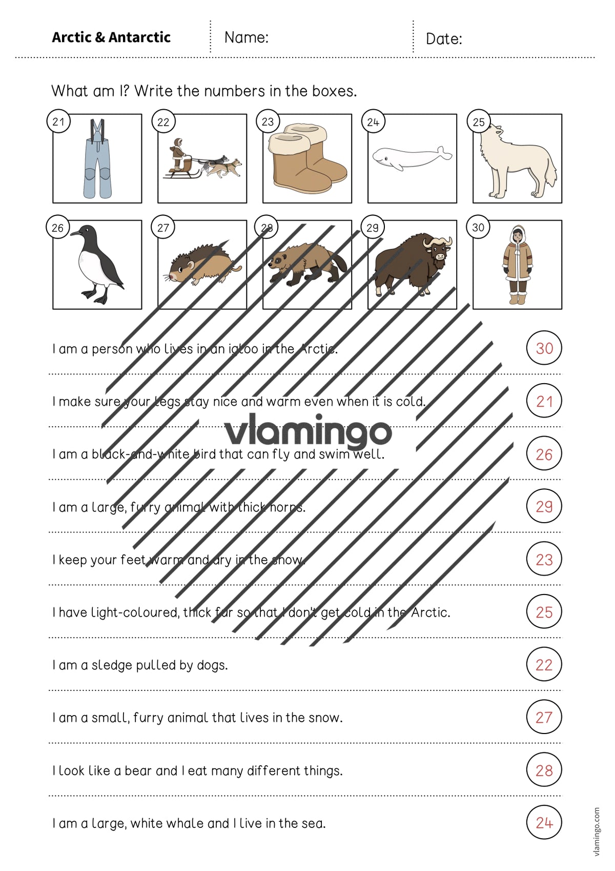 de englisch arctic antarctic what am i worksheet 009