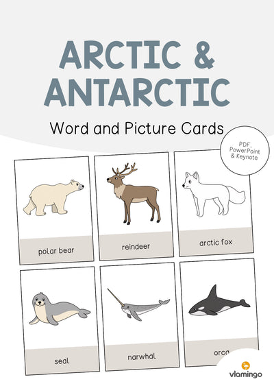 Arctic & Antarctic / Arktis & Antarktis: Word and Picture Cards (Englisch)