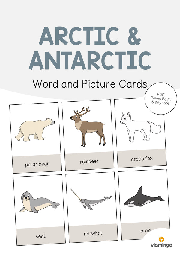de englisch arctic antarctic word and picture cards 001