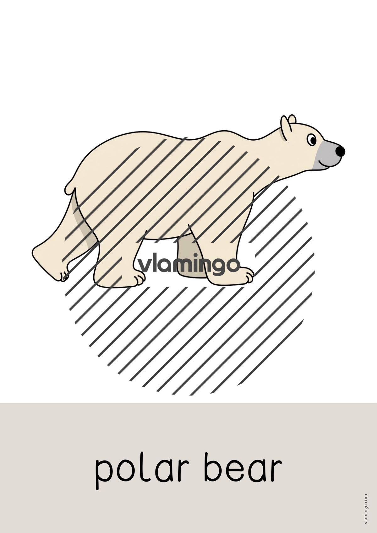 de englisch arctic antarctic word and picture cards 003
