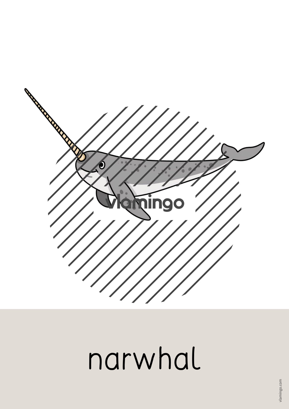 de englisch arctic antarctic word and picture cards 007