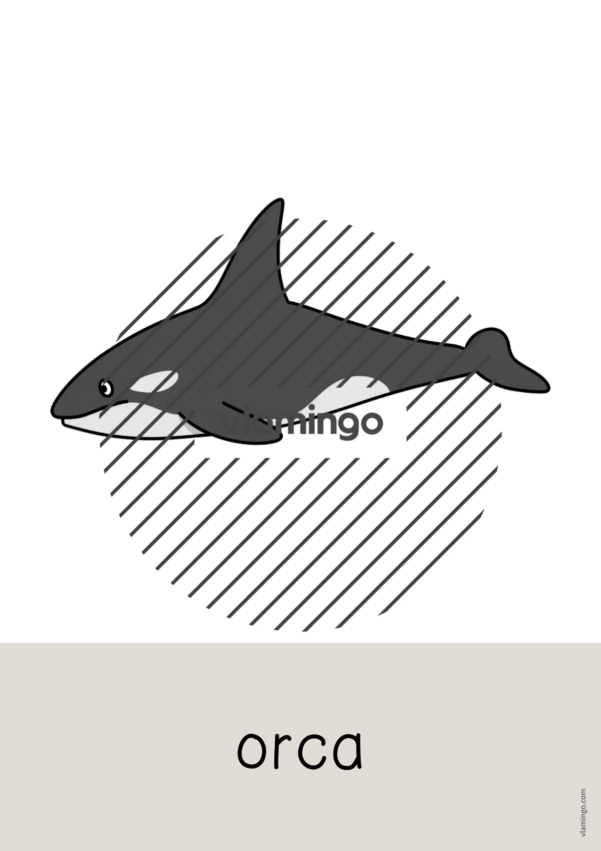 de englisch arctic antarctic word and picture cards 008