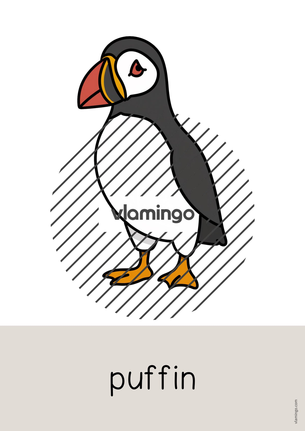 de englisch arctic antarctic word and picture cards 009