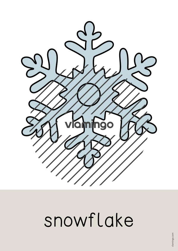 de englisch arctic antarctic word and picture cards 011