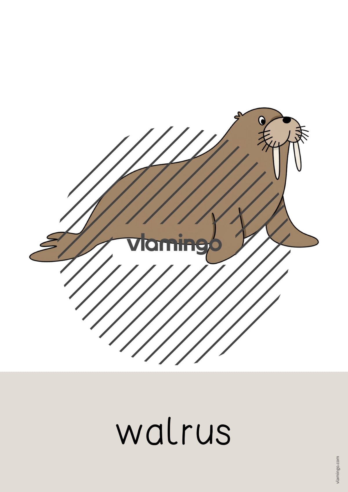 de englisch arctic antarctic word and picture cards 012