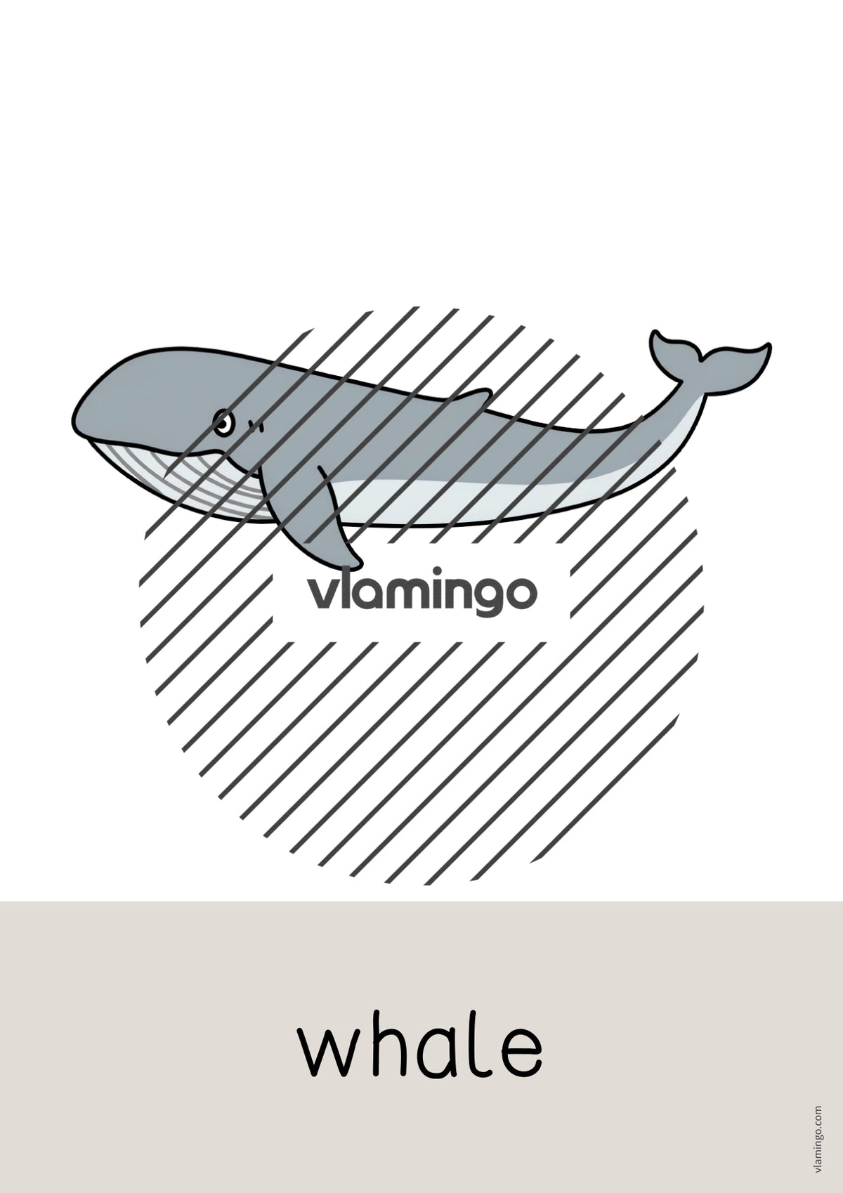 de englisch arctic antarctic word and picture cards 015