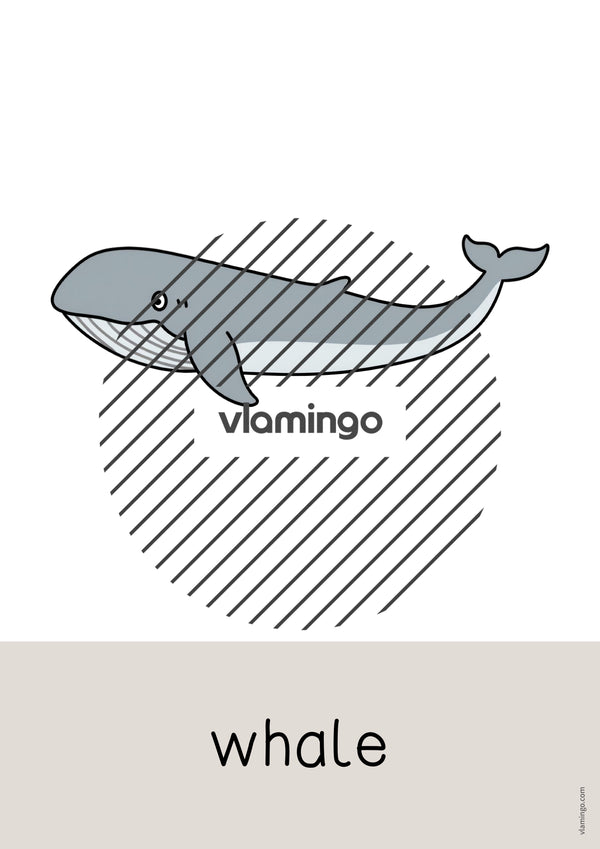 de englisch arctic antarctic word and picture cards 015