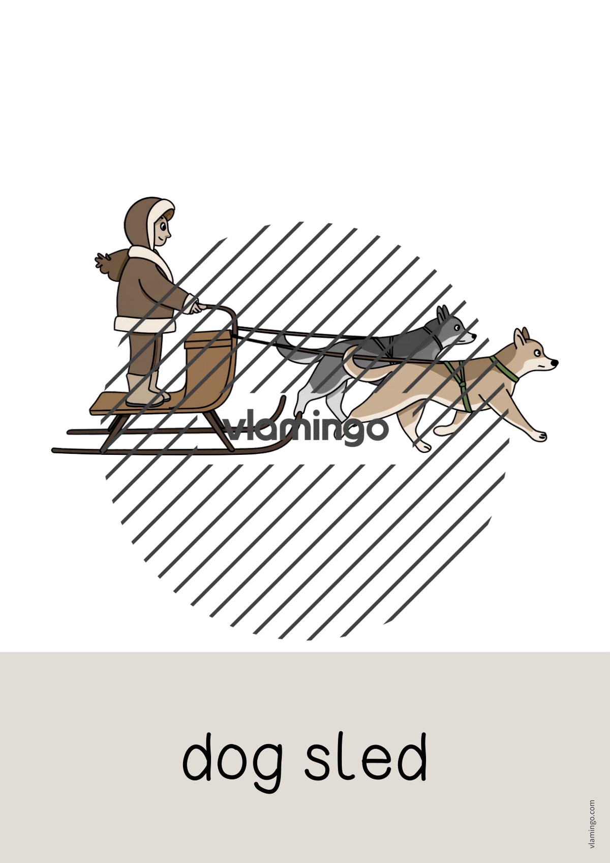 de englisch arctic antarctic word and picture cards 024