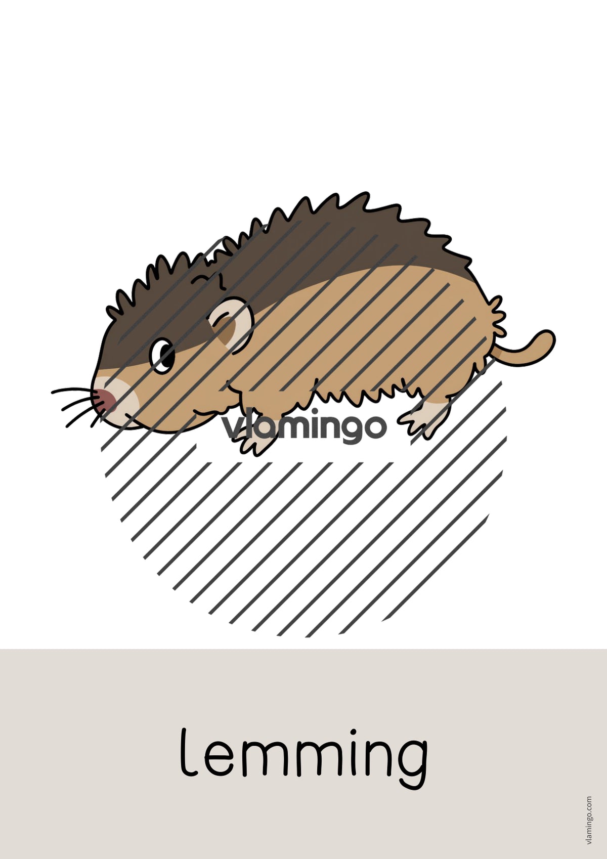 de englisch arctic antarctic word and picture cards 029