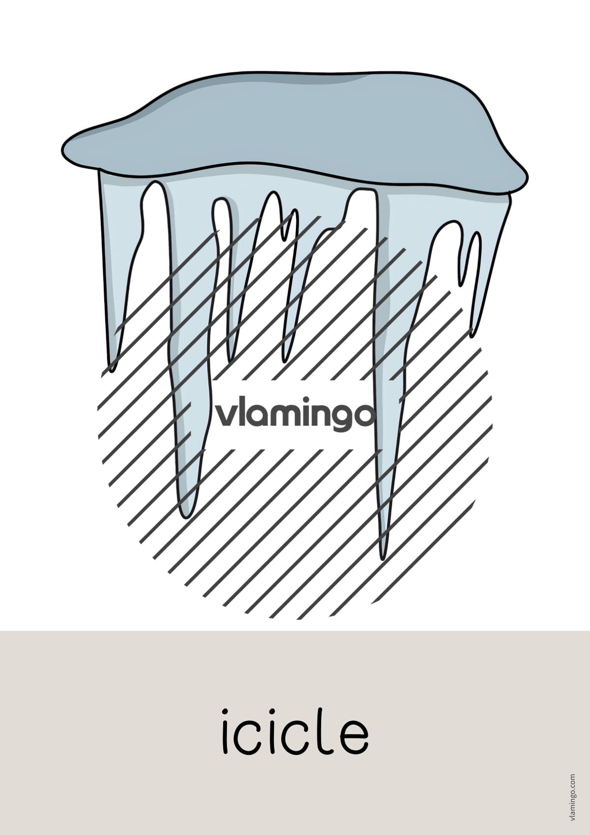 de englisch arctic antarctic word and picture cards 033