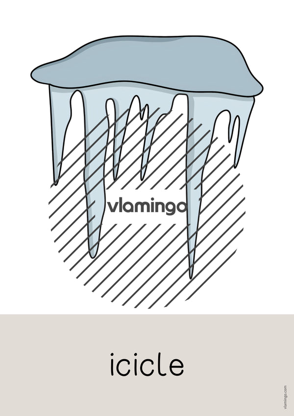 de englisch arctic antarctic word and picture cards 033
