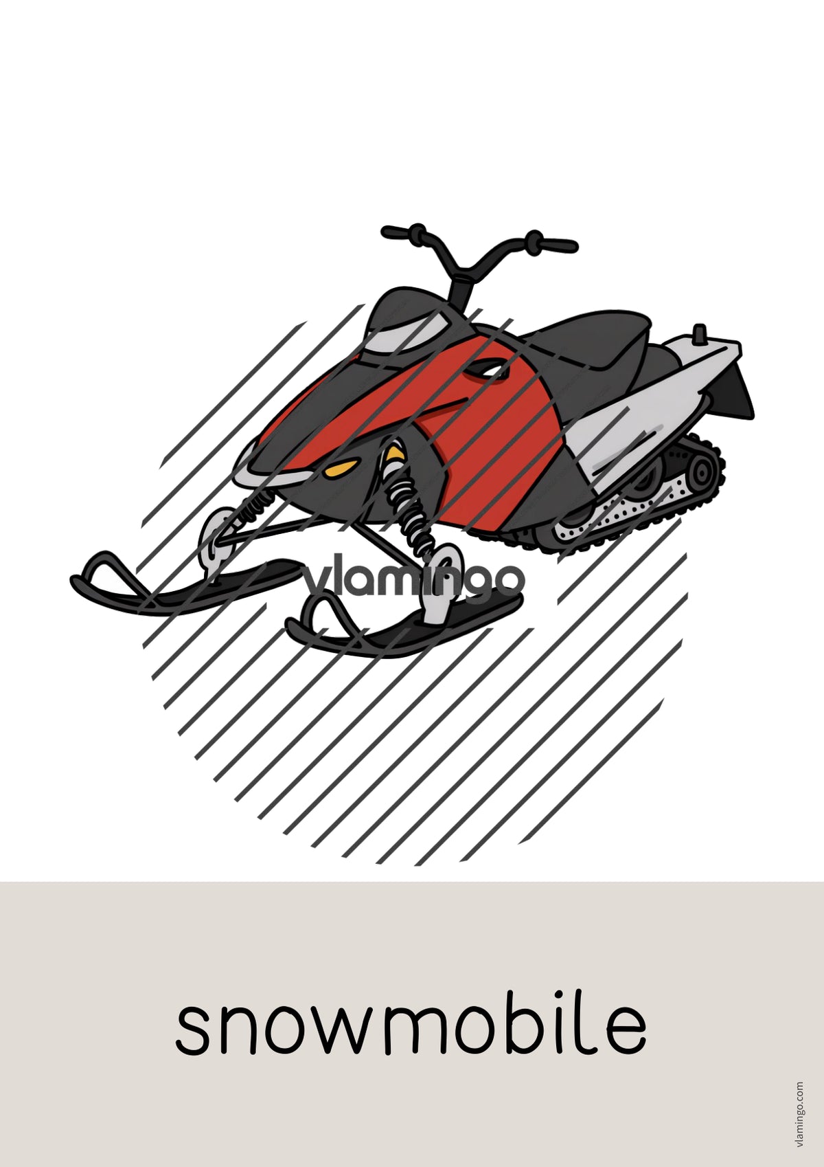 de englisch arctic antarctic word and picture cards 035