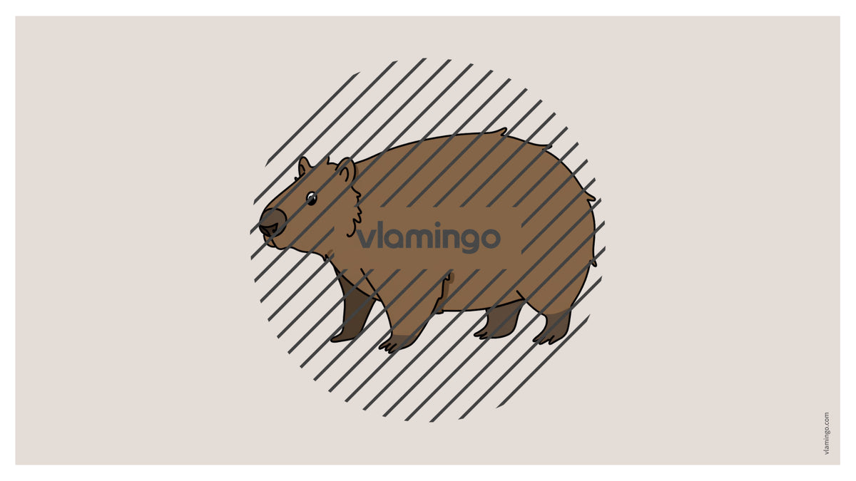 de englisch australia vocabulary fitness powerpoint 033