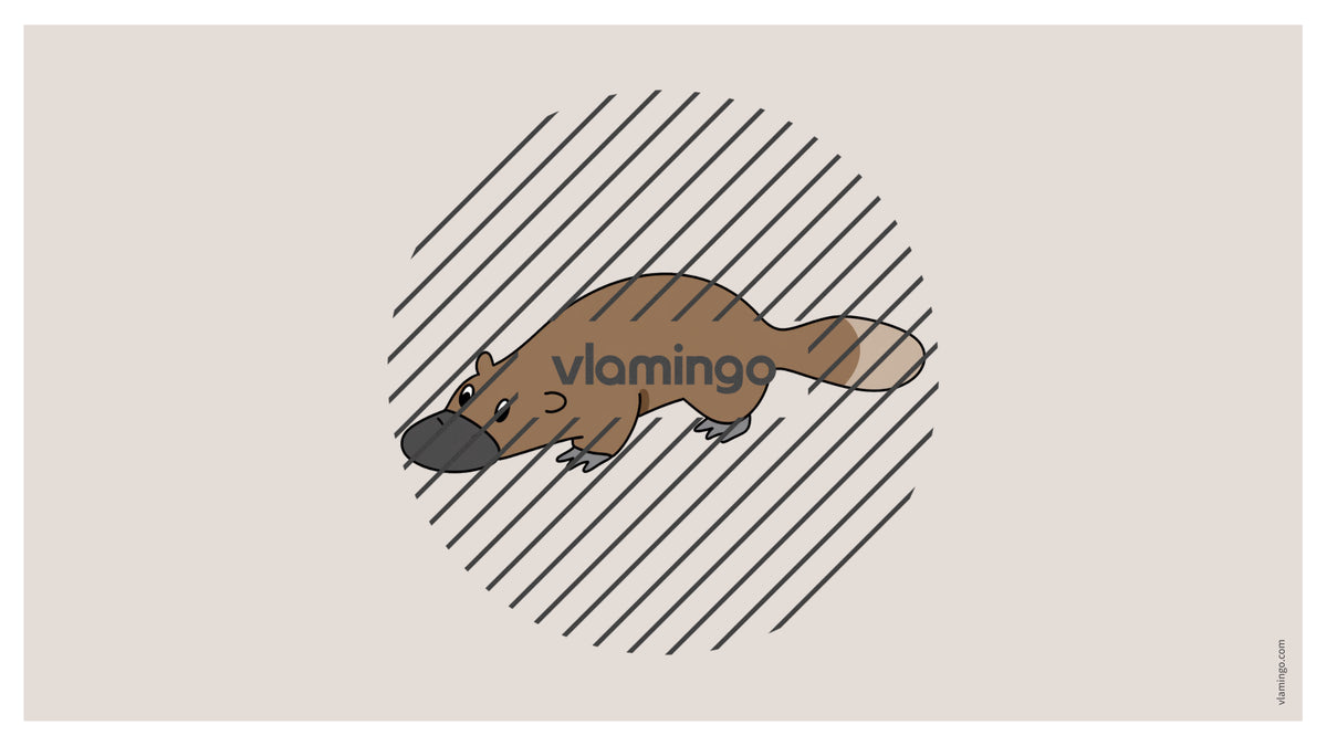 de englisch australia vocabulary fitness powerpoint 036