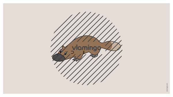de englisch australia vocabulary fitness powerpoint 036