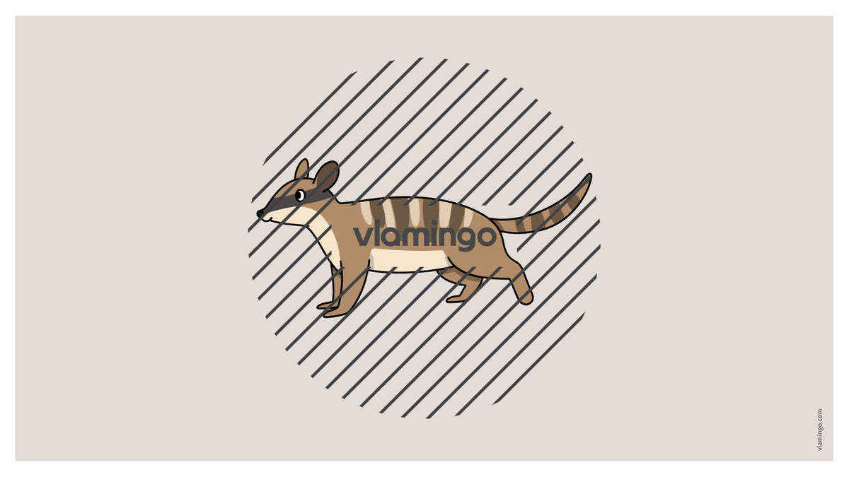 de englisch australia vocabulary fitness powerpoint 040