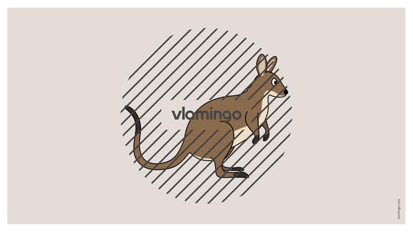 de englisch australia vocabulary fitness powerpoint 045