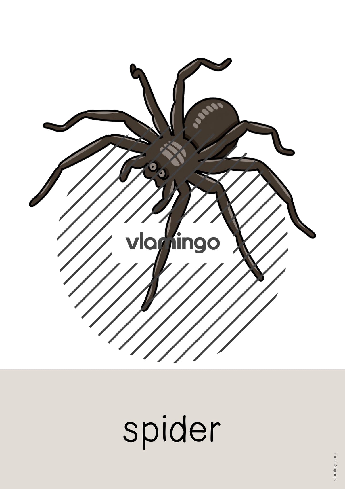 de englisch australia word and picture cards 007