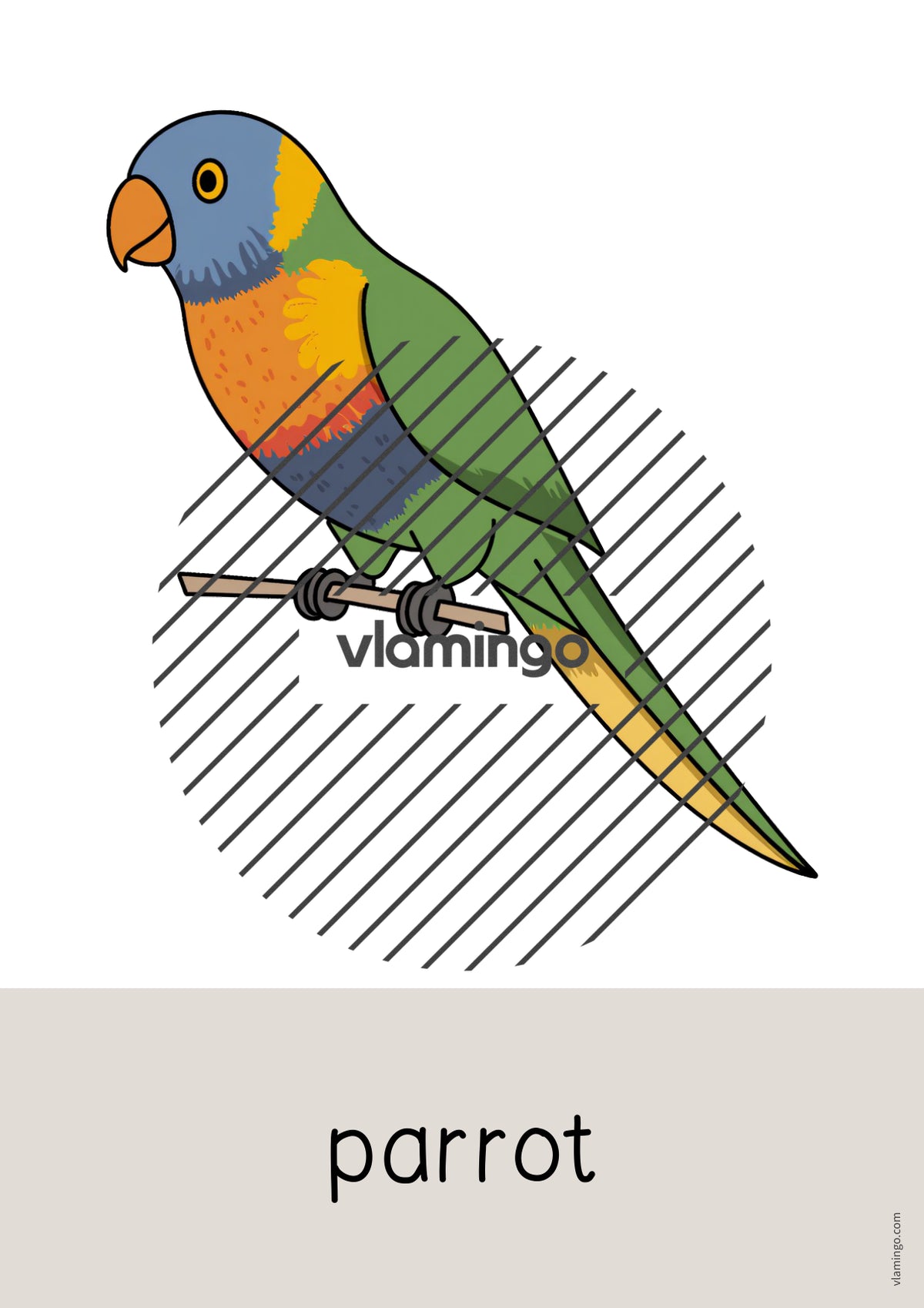 de englisch australia word and picture cards 009