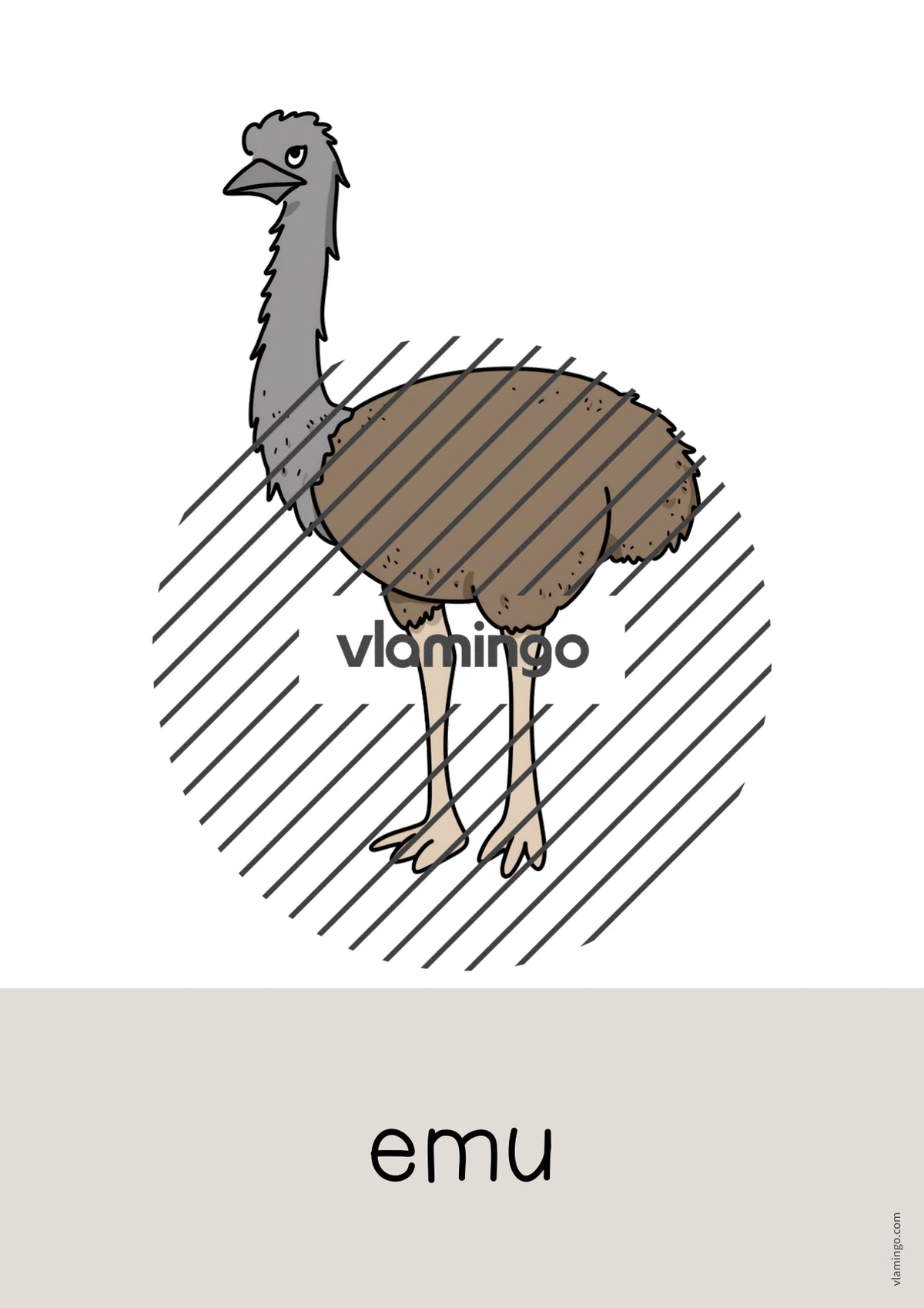de englisch australia word and picture cards 021