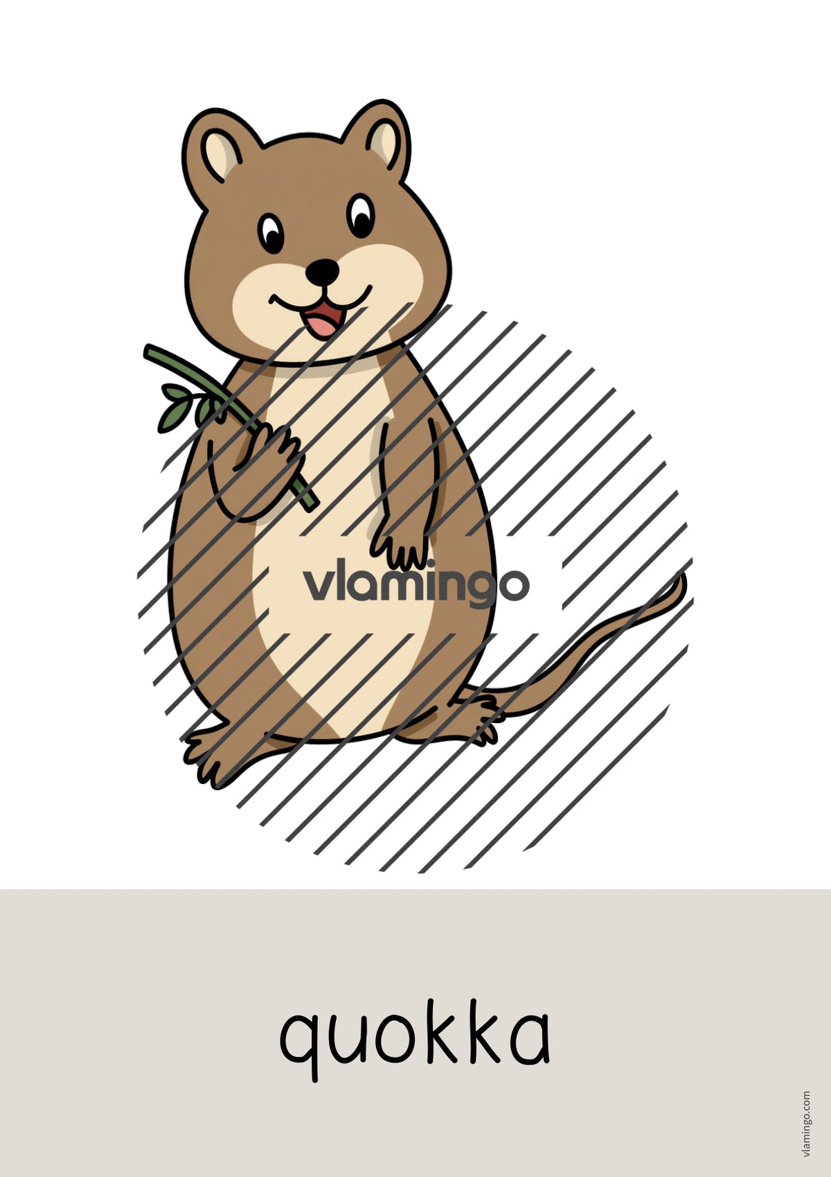 de englisch australia word and picture cards 024