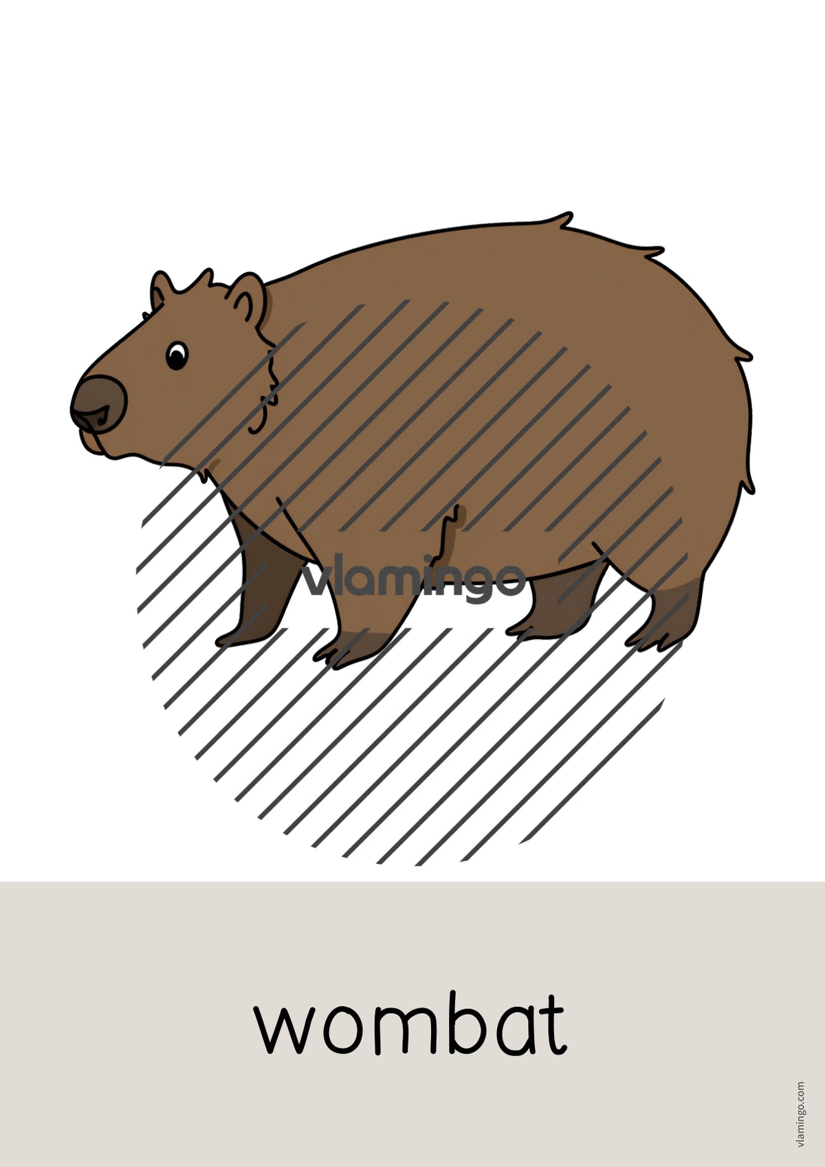 de englisch australia word and picture cards 025