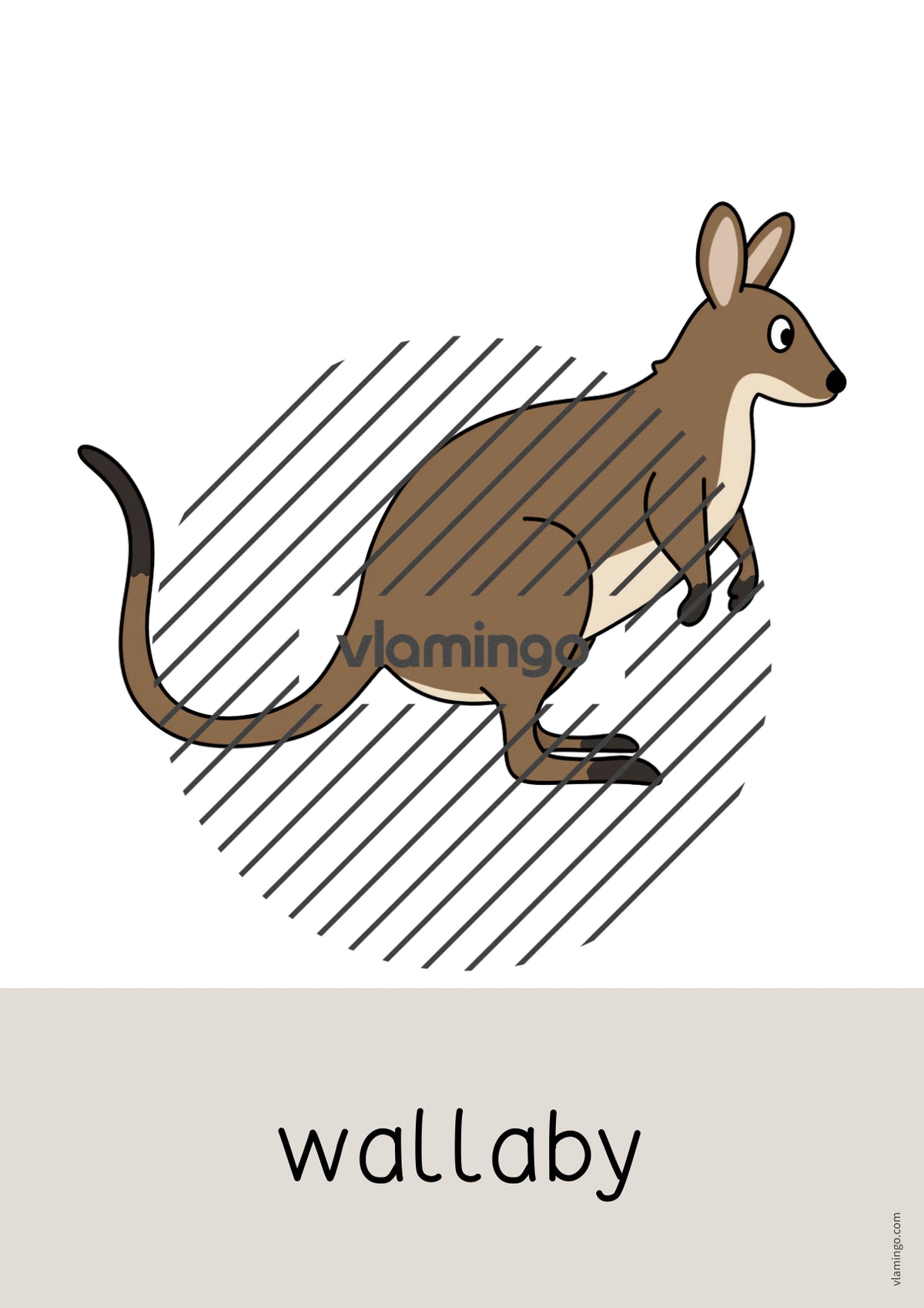 de englisch australia word and picture cards 034