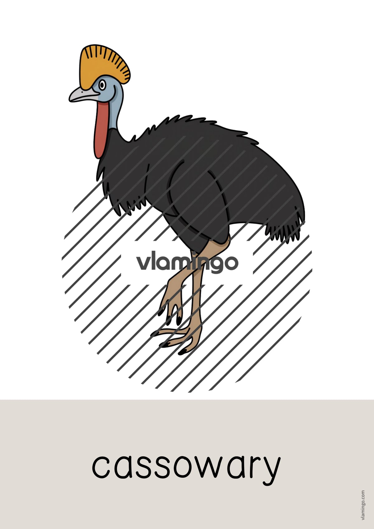 de englisch australia word and picture cards 044