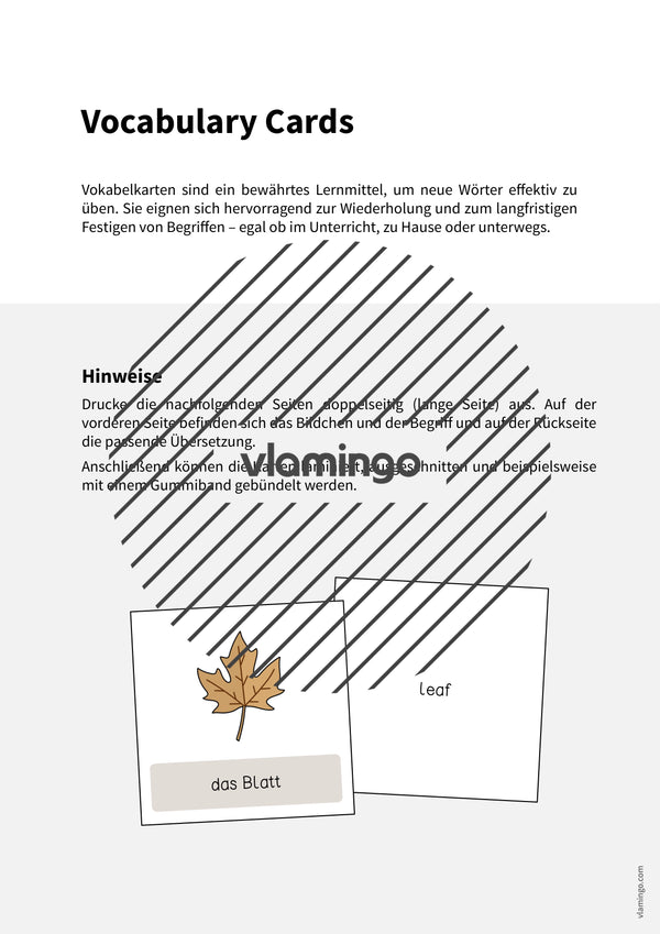 Autumn / Herbst: Vocabulary Cards für den Englischunterricht – Vorschau 2