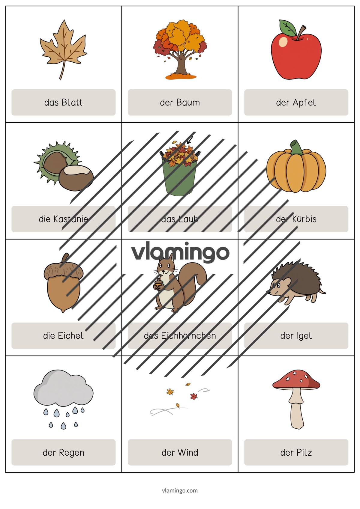Autumn / Herbst: Vocabulary Cards für den Englischunterricht – Vorschau 3