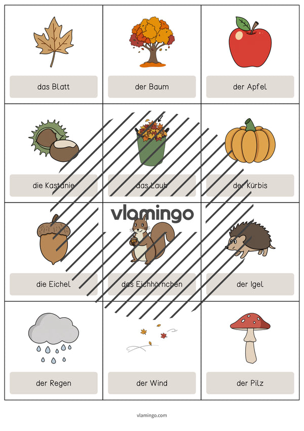 Autumn / Herbst: Vocabulary Cards für den Englischunterricht – Vorschau 3