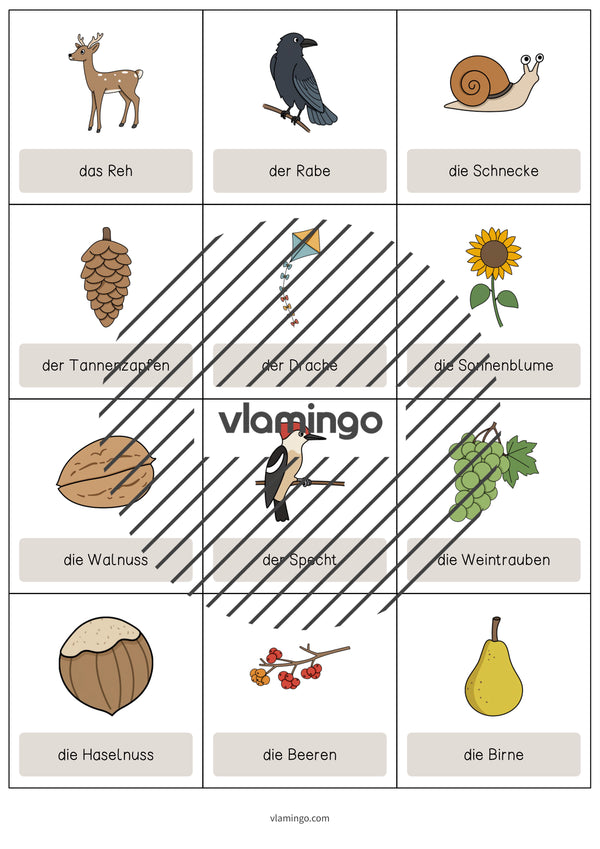 Autumn / Herbst: Vocabulary Cards für den Englischunterricht – Vorschau 7