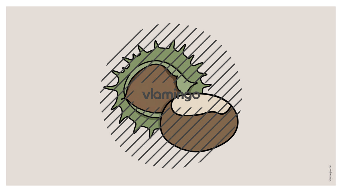 Autumn / Herbst: Vocabulary Fitness für den Englischunterricht – Vorschau 12