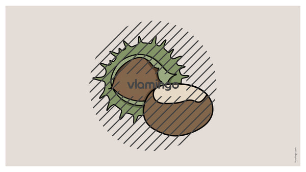 Autumn / Herbst: Vocabulary Fitness für den Englischunterricht – Vorschau 12