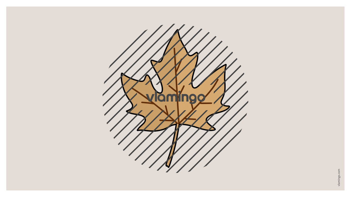 de englisch autumn vocabulary fitness powerpoint 004