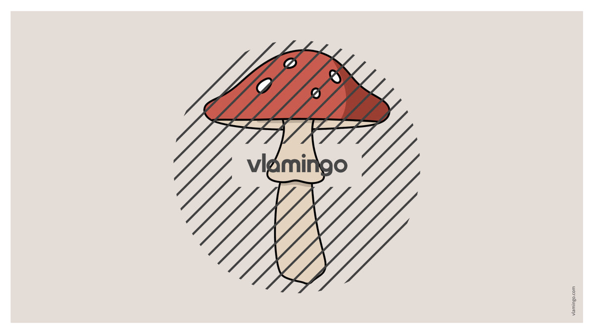 de englisch autumn vocabulary fitness powerpoint 018