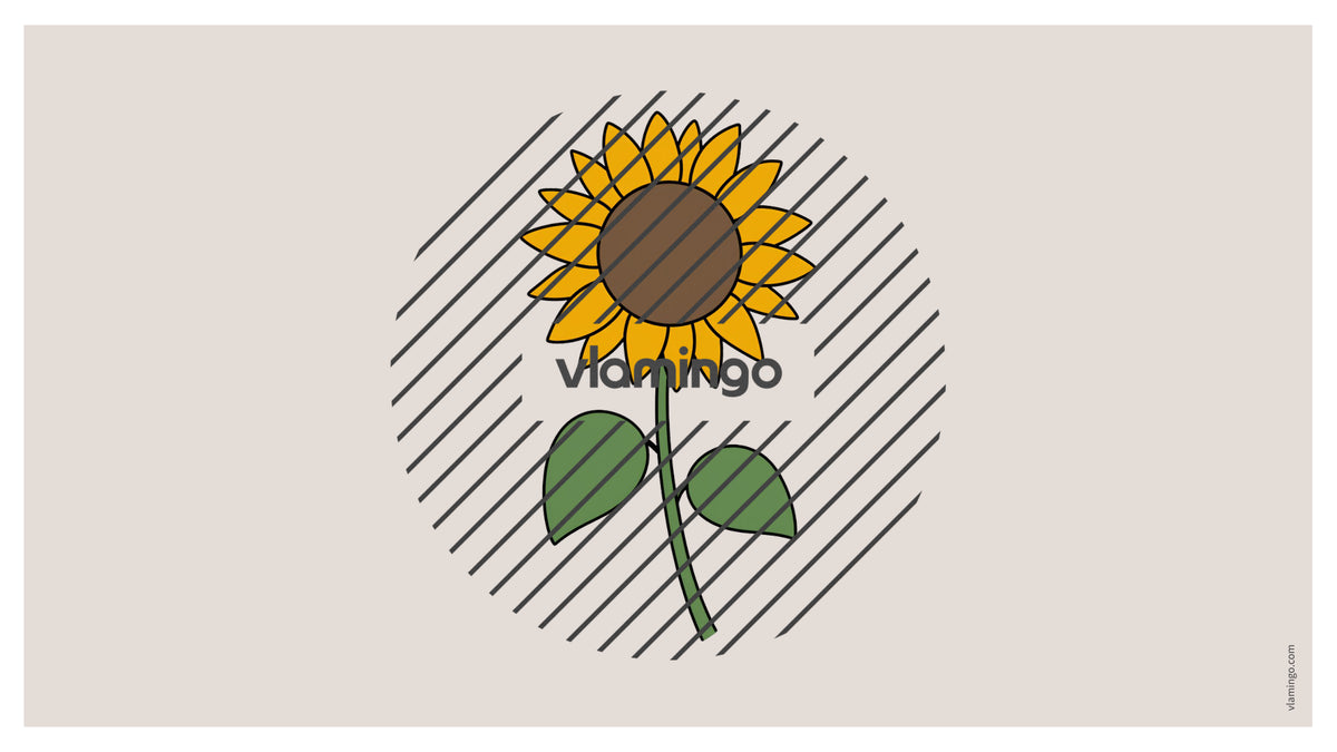 de englisch autumn vocabulary fitness powerpoint 042