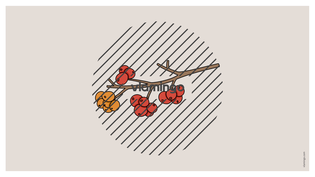 de englisch autumn vocabulary fitness powerpoint 049
