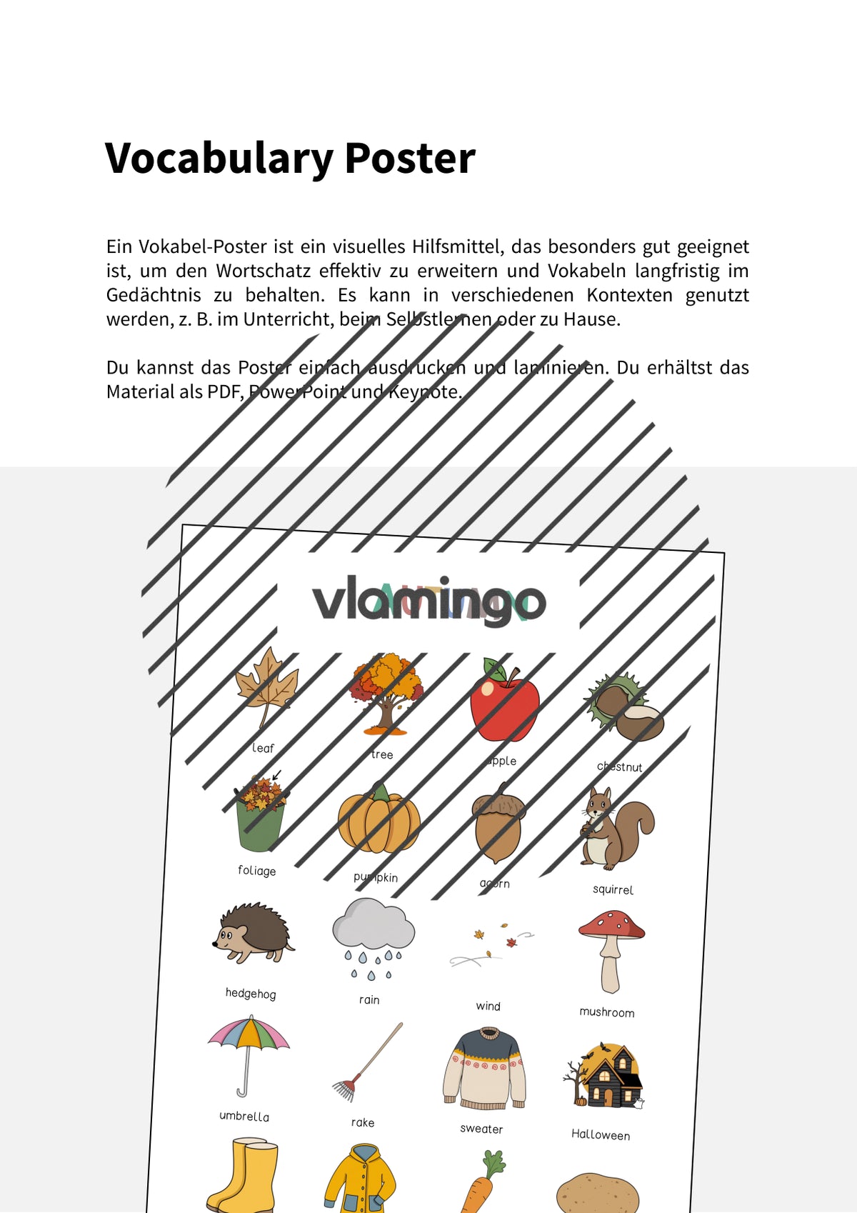 Autumn / Herbst: Vocabulary Poster für den Englischunterricht – Vorschau 2