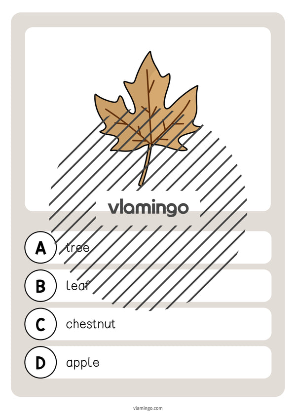 Autumn / Herbst: Vocabulary Quiz für den Englischunterricht – Vorschau 5