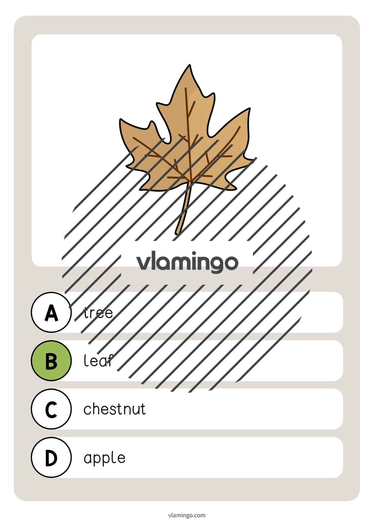 Autumn / Herbst: Vocabulary Quiz für den Englischunterricht – Vorschau 6