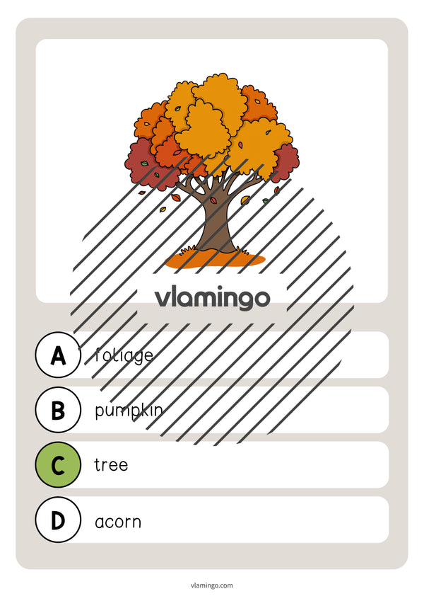 Autumn / Herbst: Vocabulary Quiz für den Englischunterricht – Vorschau 8
