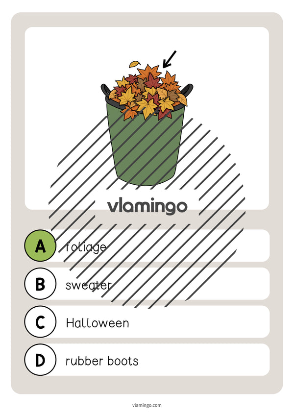 Autumn / Herbst: Vocabulary Quiz für den Englischunterricht – Vorschau 14