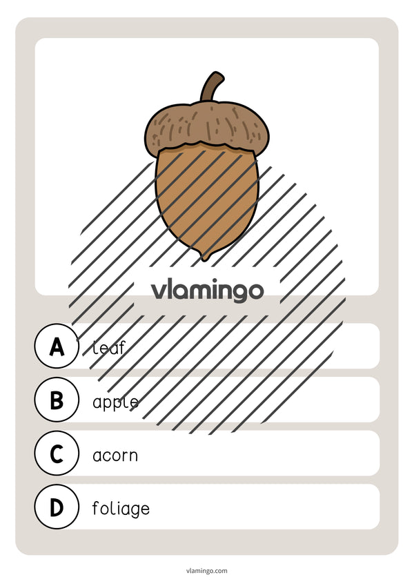 Autumn / Herbst: Vocabulary Quiz für den Englischunterricht – Vorschau 17