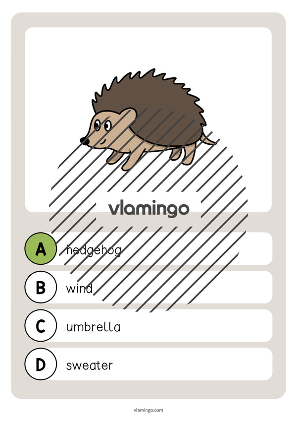 Autumn / Herbst: Vocabulary Quiz für den Englischunterricht – Vorschau 22